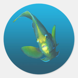 Pegatina Redonda Angelfish - Diseño en fondo azul gradiente  