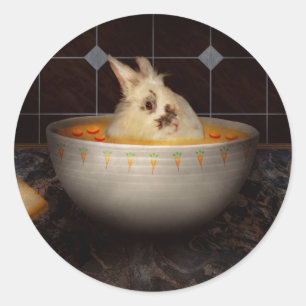 Pegatina Redonda Animal - Conejo - Hay una liebre en mi sopa