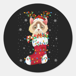 Pegatina Redonda Animal de Santa Hat Ragdoll Cat En Socks Xmas Tree