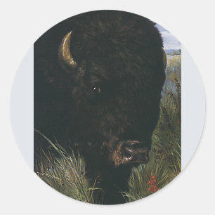 Pegatina Redonda Animal Salvaje Antiguo, Búfalo o Bisonte Americano
