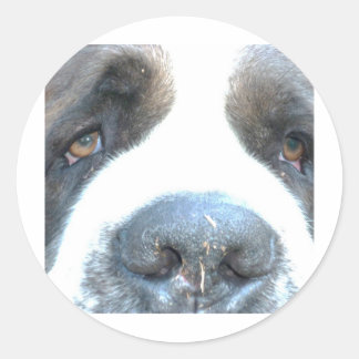 Pegatina Redonda Animales