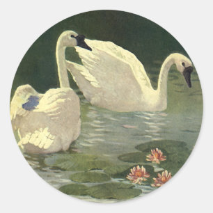 Pegatina Redonda Animales Aves Salvajes Antiguos, Cisnes Blancos Vi