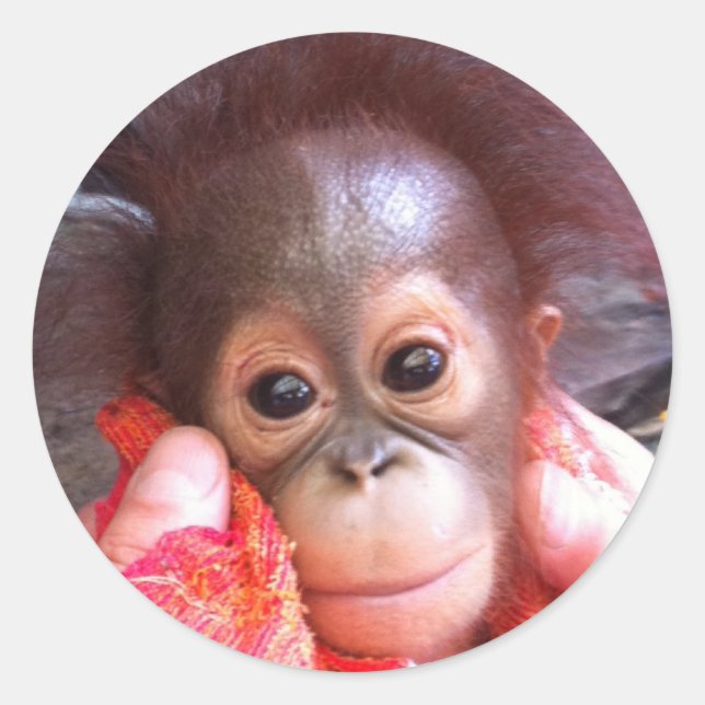 Pegatina Redonda Animales de corte (Anverso)