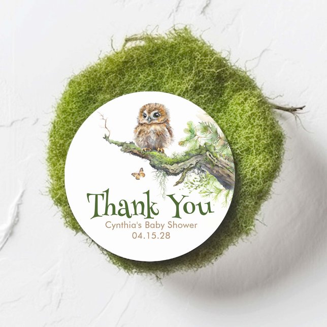Pegatina Redonda Animales de Woodland Pequeña Lechuza Mossy Wild Gr (Little Owl Woodland Themed Thank You Stickers)