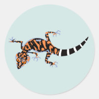 Animales silvestres - GECKO terrestre - Especies e