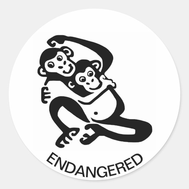 Pegatina Redonda Animales silvestres - Guay BONOBO - Chimpanzee - Á (Anverso)