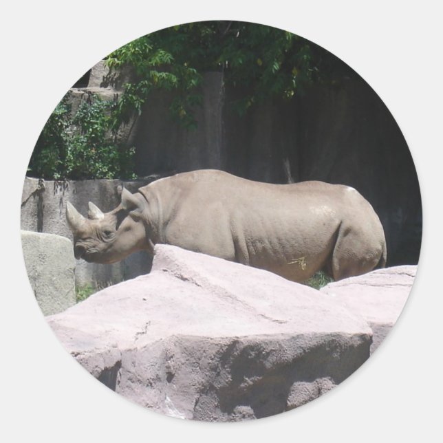 Pegatina Redonda Animales zoológicos (Anverso)