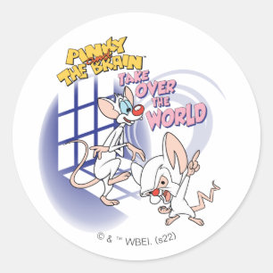 Pegatina Redonda Animaniacs   Asumir El Gráfico Mundial