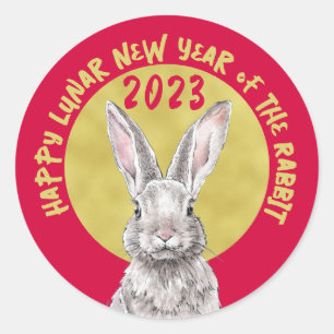 Pegatina Redonda Año Nuevo Chino 2023 Conejo Conejo Conejo Animal R