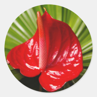 Pegatina Redonda Antirio