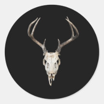 Antler de cráneo de ciervo en fondo negro