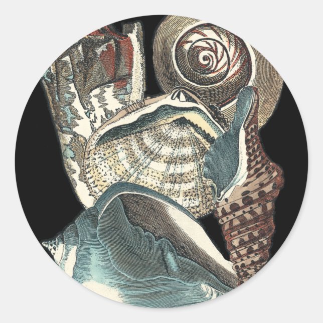 Pegatina Redonda Antología de las conchas marinas (Anverso)