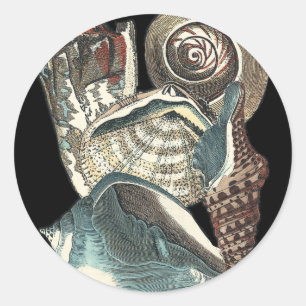 Pegatina Redonda Antología de Seashell