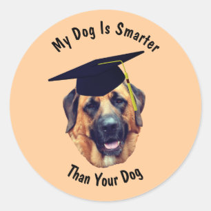 Pegatina Redonda Aplastar mi perro más inteligente que tu perro gra