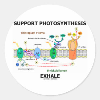 Pegatina Redonda Apoyar la síntesis de fotosíntesis Exhale (Humor b