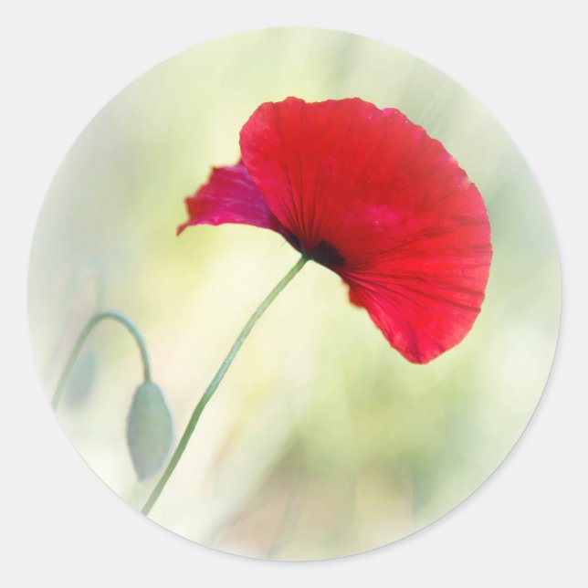 Pegatina Redonda Apron con la amapola roja "¡Sé feliz!" (Anverso)