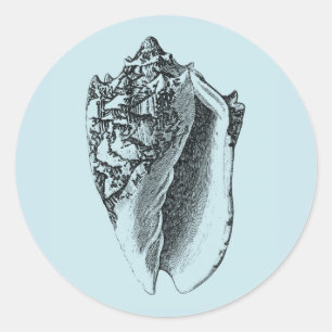 Pegatina Redonda Aqua Conch Shell