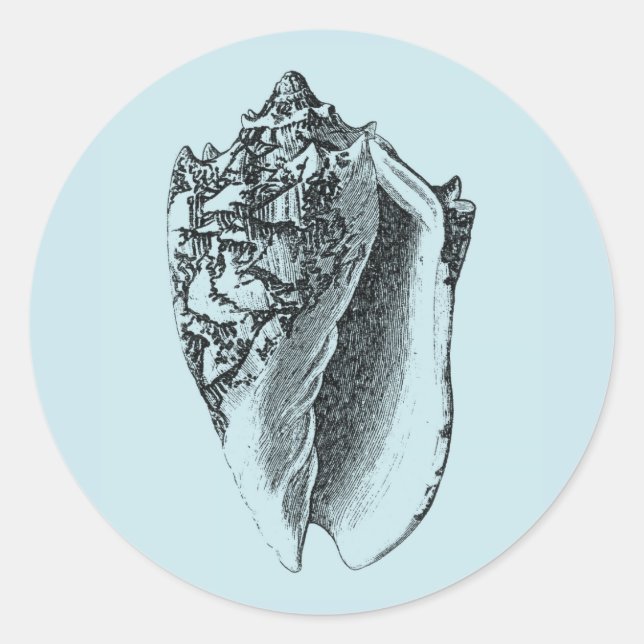 Pegatina Redonda Aqua Conch Shell (Anverso)