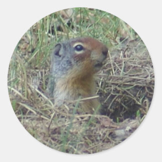 Pegatina Redonda Aquí estoy