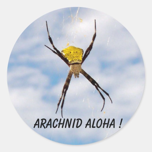 Pegatina Redonda Arachnid Aloha Hawaiian Garden Spider (Anverso)