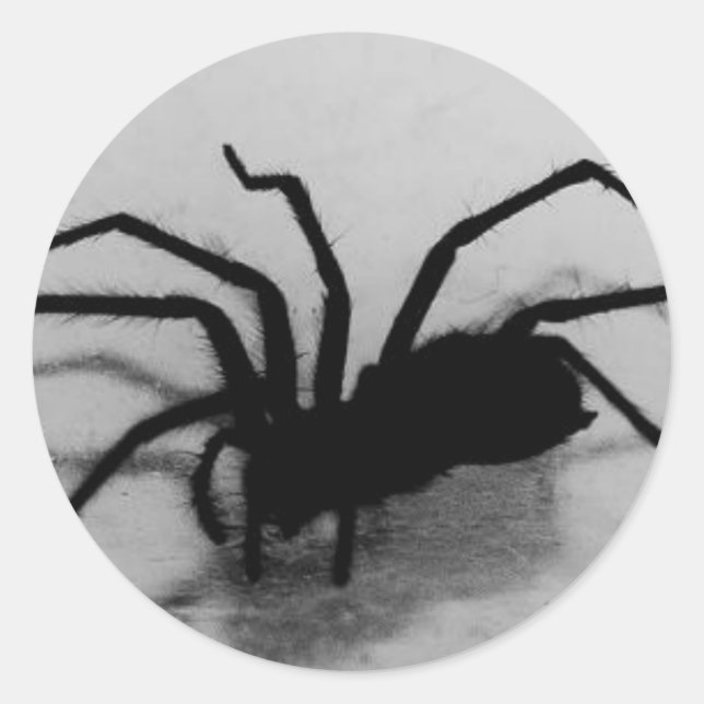Pegatina Redonda araña (Anverso)