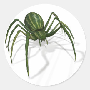 Pegatina Redonda Araña de sandía rara