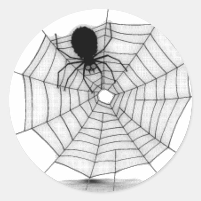 Pegatina Redonda Araña en su web (Anverso)