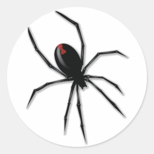 Pegatina Redonda Araña escarpada 3D
