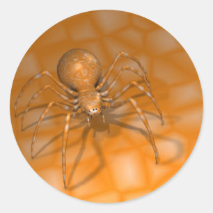 Pegatina Redonda Araña naranja