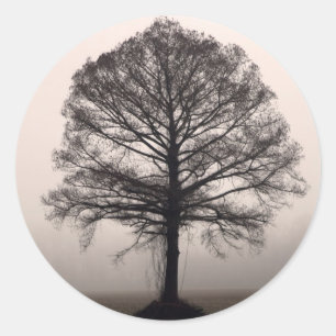 Pegatina Redonda Árbol