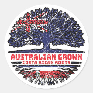 Pegatina Redonda Árbol australiano costarricense