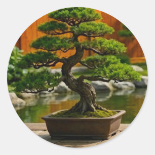 Pegatina Redonda Árbol Bonsái del Dragón de Balance