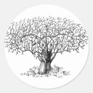 Pegatina Redonda Árbol de la vida - animales