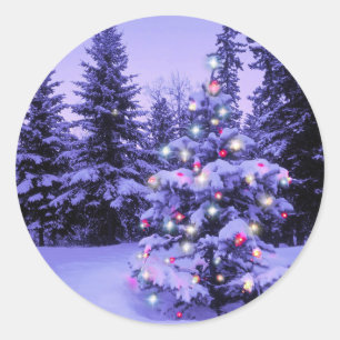 Pegatina Redonda Árbol de Navidad en el bosque