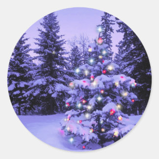 Pegatina Redonda Árbol de Navidad en el bosque