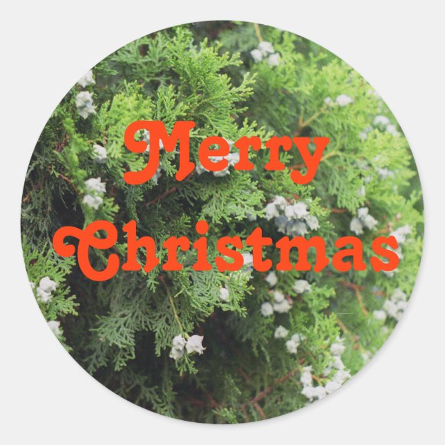 Pegatina Redonda Árbol de vacaciones (Anverso)