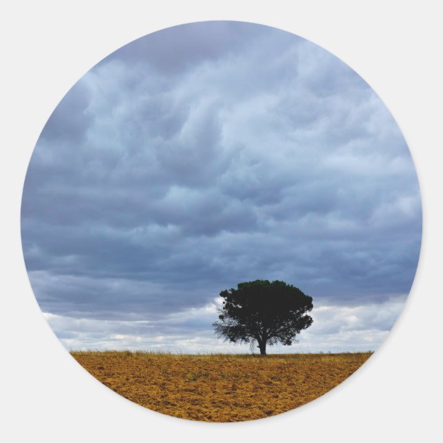 Pegatina Redonda Árbol en un campo vacío (Anverso)