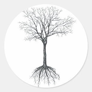 Pegatina Redonda Árbol sin hojas