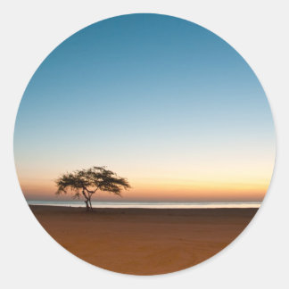 Pegatina Redonda Árbol solitario al amanecer en Kuwait