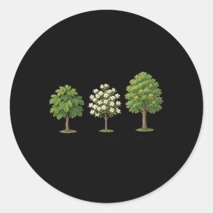 Pegatina Redonda Árbol sutil contra Trump Árbol de camisas higos Do