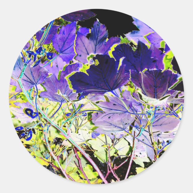 PEGATINA REDONDA ÁRBOLES (Anverso)