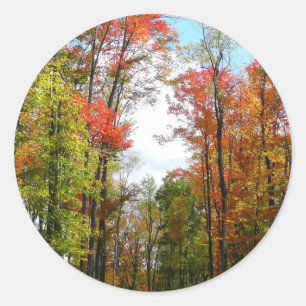 Pegatina Redonda Árboles de otoño y cielo azul Fotografía de la nat