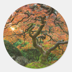 Pegatina Redonda Arce En Los Jardines Japoneses En Otoño