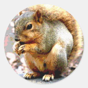Pegatina Redonda Ardilla