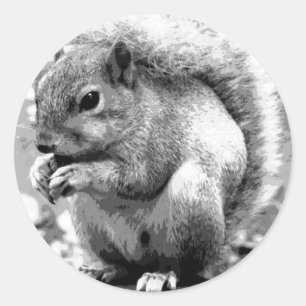 Pegatina Redonda Ardilla
