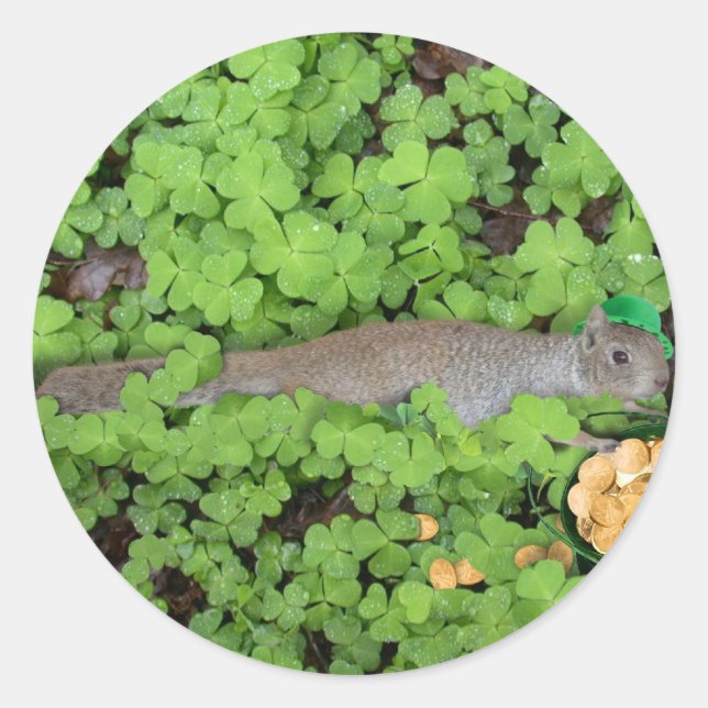 Pegatina Redonda ardilla afortunada en Clovers (Anverso)