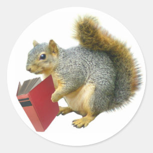 Pegatina Redonda ardilla con libro