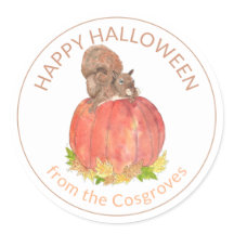 Ardilla de Halloween corta en calabaza