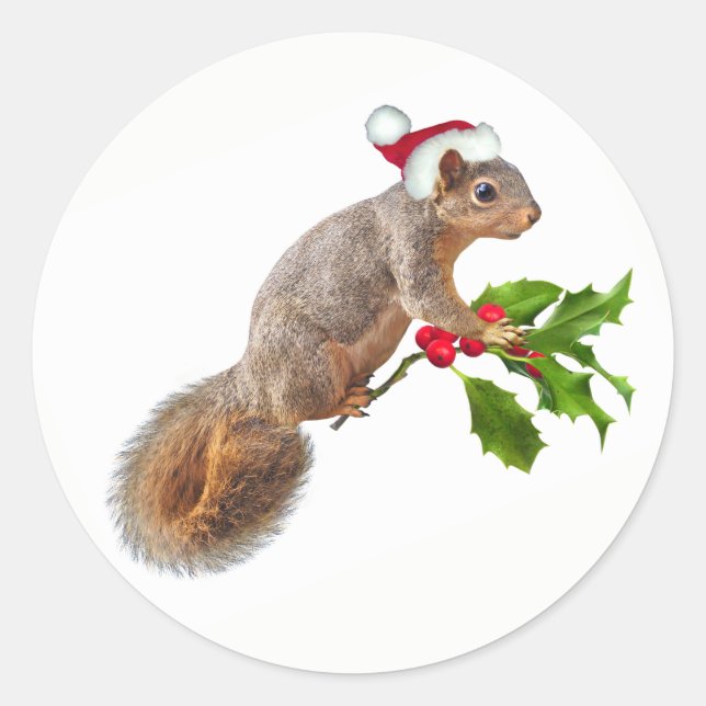 Pegatina Redonda ardilla Santa con pegatinas navideñas holly (Anverso)