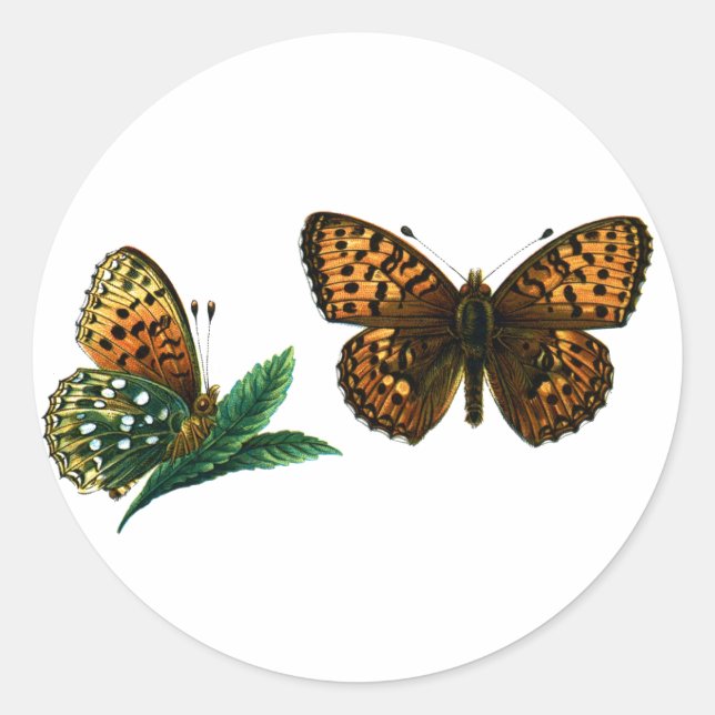 Pegatina Redonda Argynnis aglaja (Anverso)
